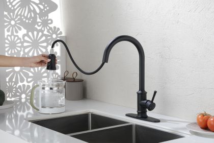 Kitchen Faucet with Pull Out Spraye (Color: as Pic)